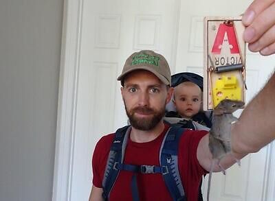 Chicago pest control